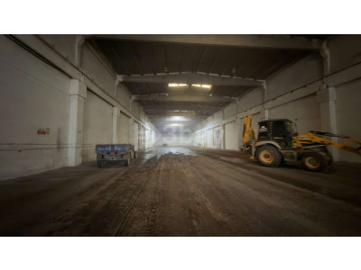 WhatsApp Image 2026-03-30 at 20.43.25.jpeg